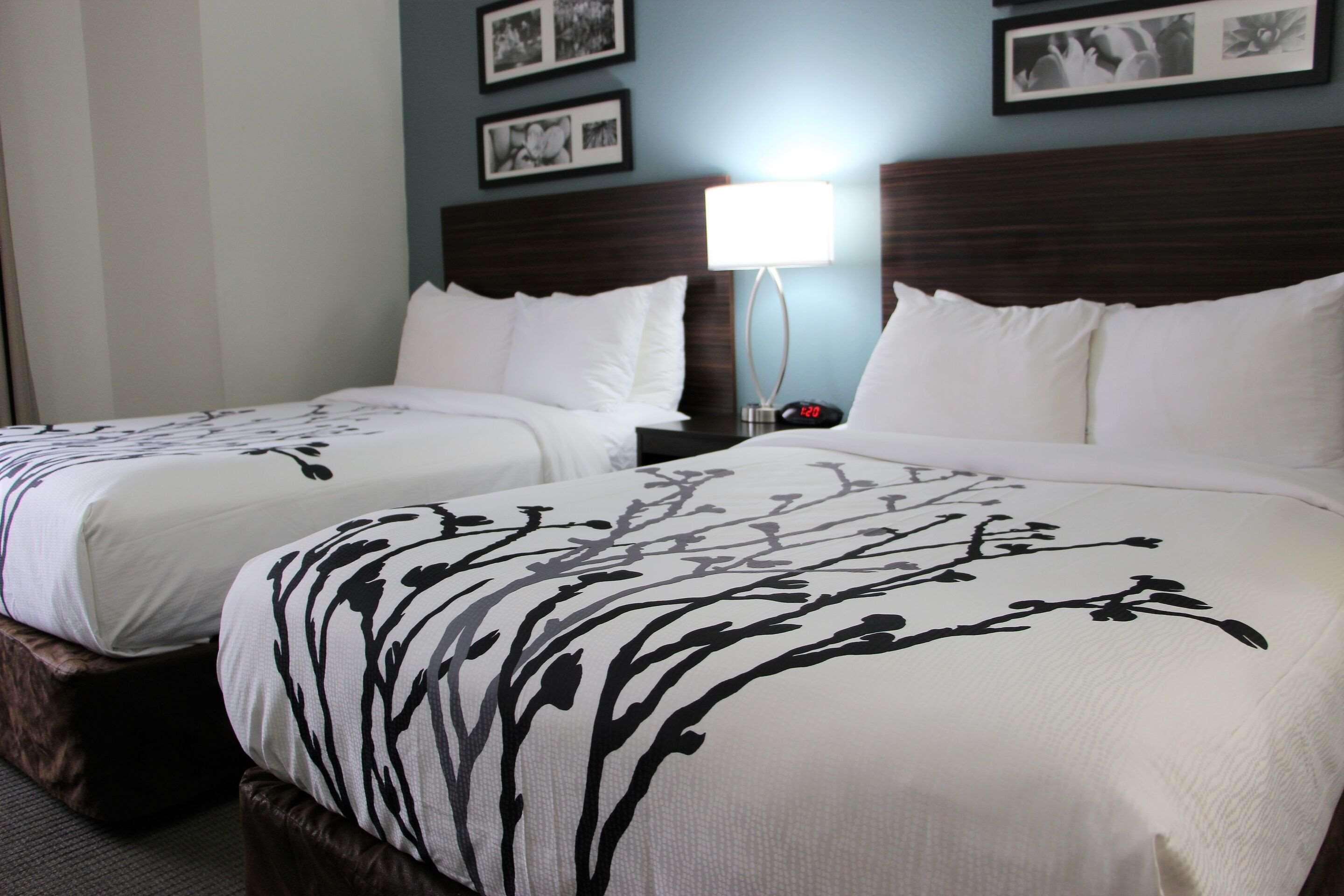 Sleep Inn Chattanooga Zewnętrze zdjęcie