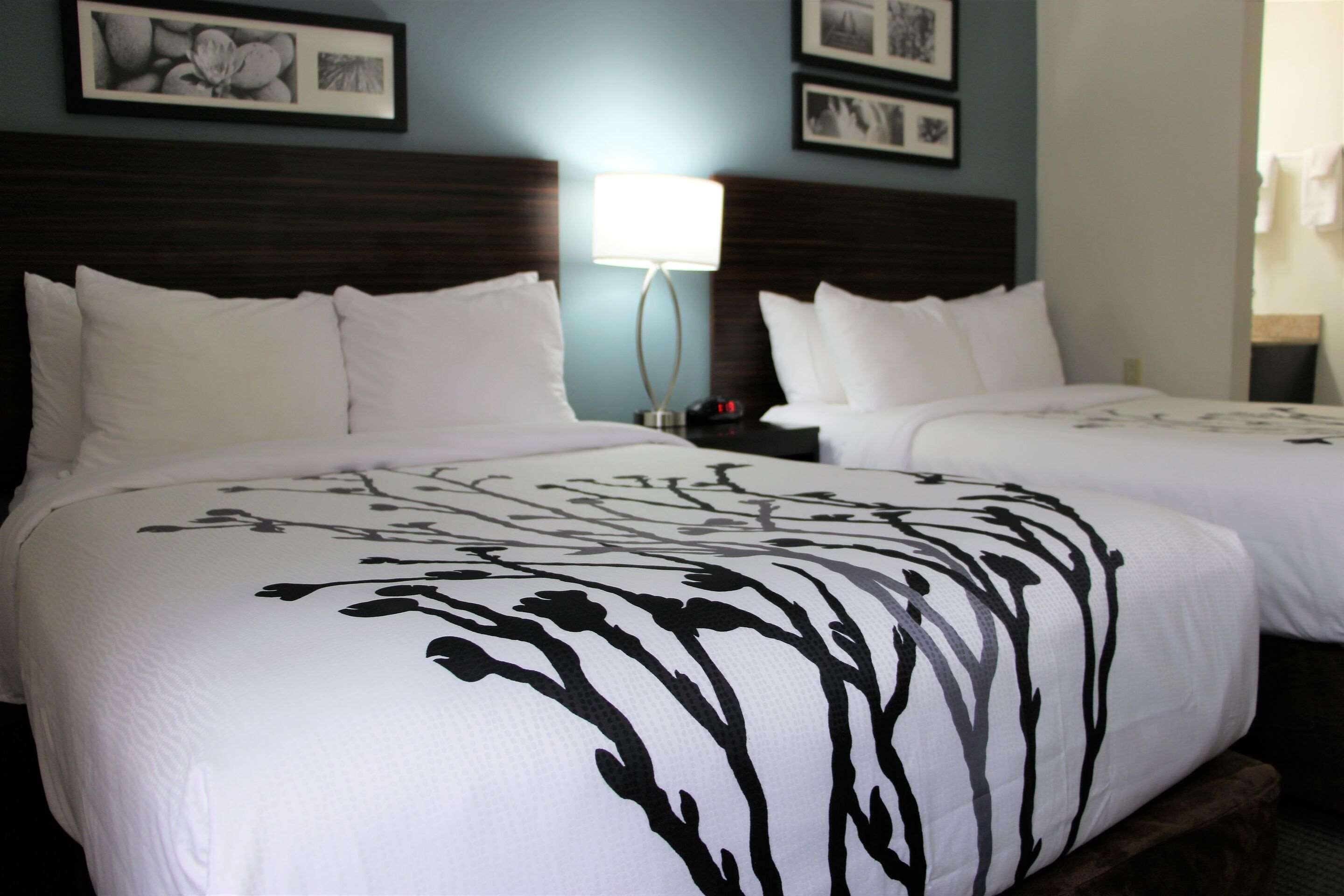 Sleep Inn Chattanooga Zewnętrze zdjęcie